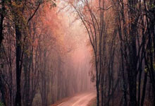 [棋牌]乐弈场第41场周赛 辛俊浩斩获积分实力双榜冠军.