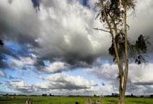 C罗社媒鼓励球队：有90分钟时间扭转局面，让我们全力以赴.