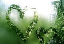 必赢体育：[高尔夫]亚巡国际系列赛澳门站3月打响 前三可获大满贯资格.