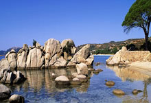 [图]帕夫洛维奇破门凯恩伤退 拜仁1-1勒沃库森.